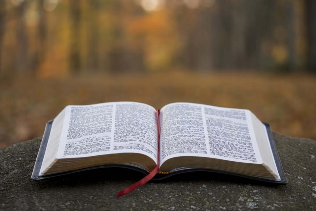 photo 1509021436665 8f07dbf5bf1d (1)